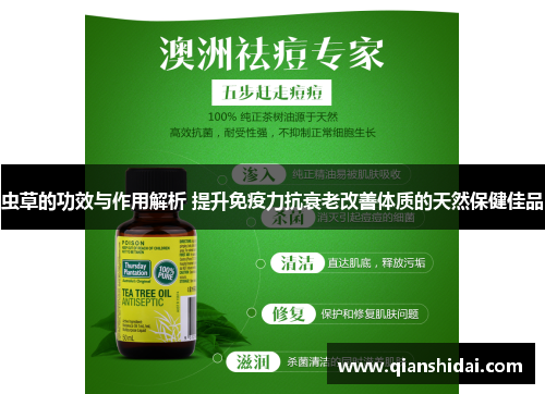 虫草的功效与作用解析 提升免疫力抗衰老改善体质的天然保健佳品