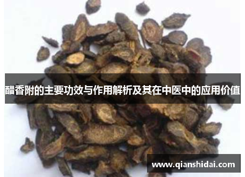 醋香附的主要功效与作用解析及其在中医中的应用价值