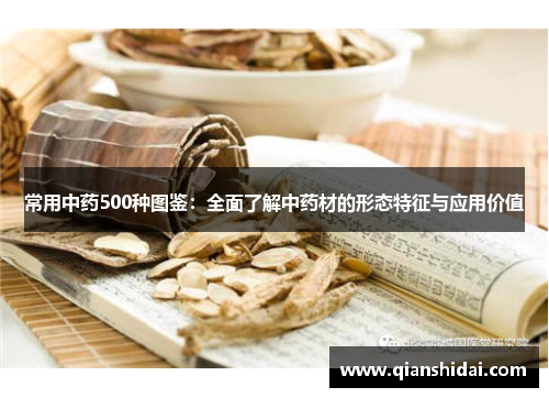 常用中药500种图鉴：全面了解中药材的形态特征与应用价值